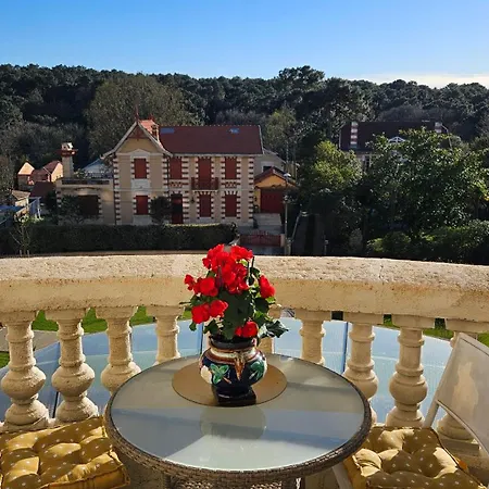 Homestay Res Belle Epoque D'hiver *
